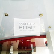 potolok_master_bobr_02
